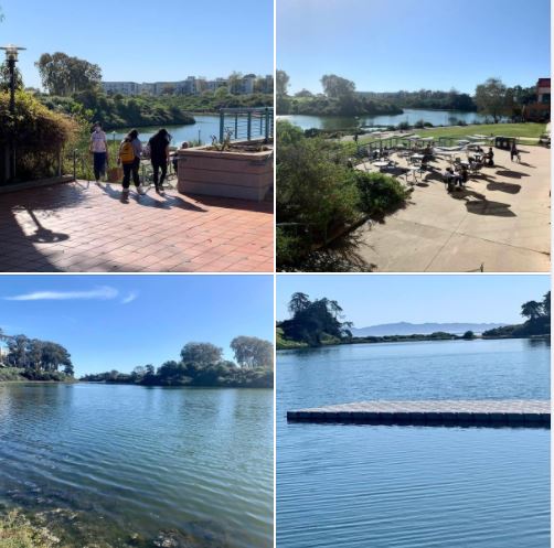At the beautiful UCSB campus lagoon: Batch 1 of photos