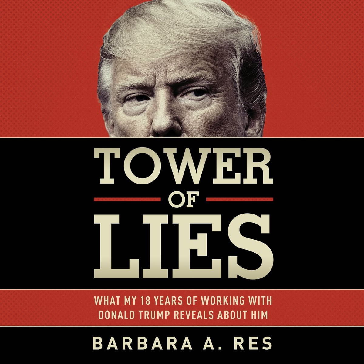 Cover image of 'Tower of Lies': By Barbara Res