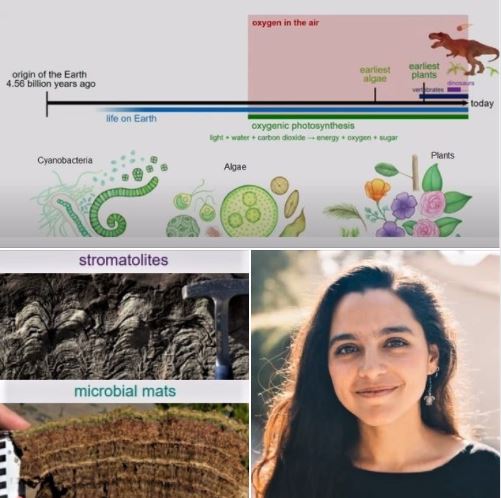 Earth scientist & artist Usha Farey Lingappa discusses the origins of photosynthesis