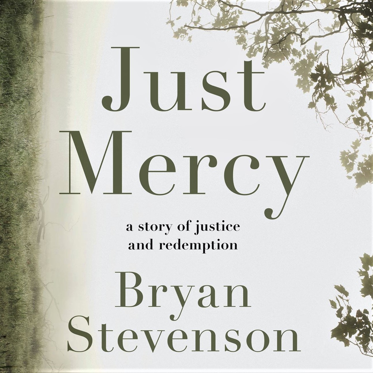 Cover image for Bryan Stevenson's 'Just Mercy'