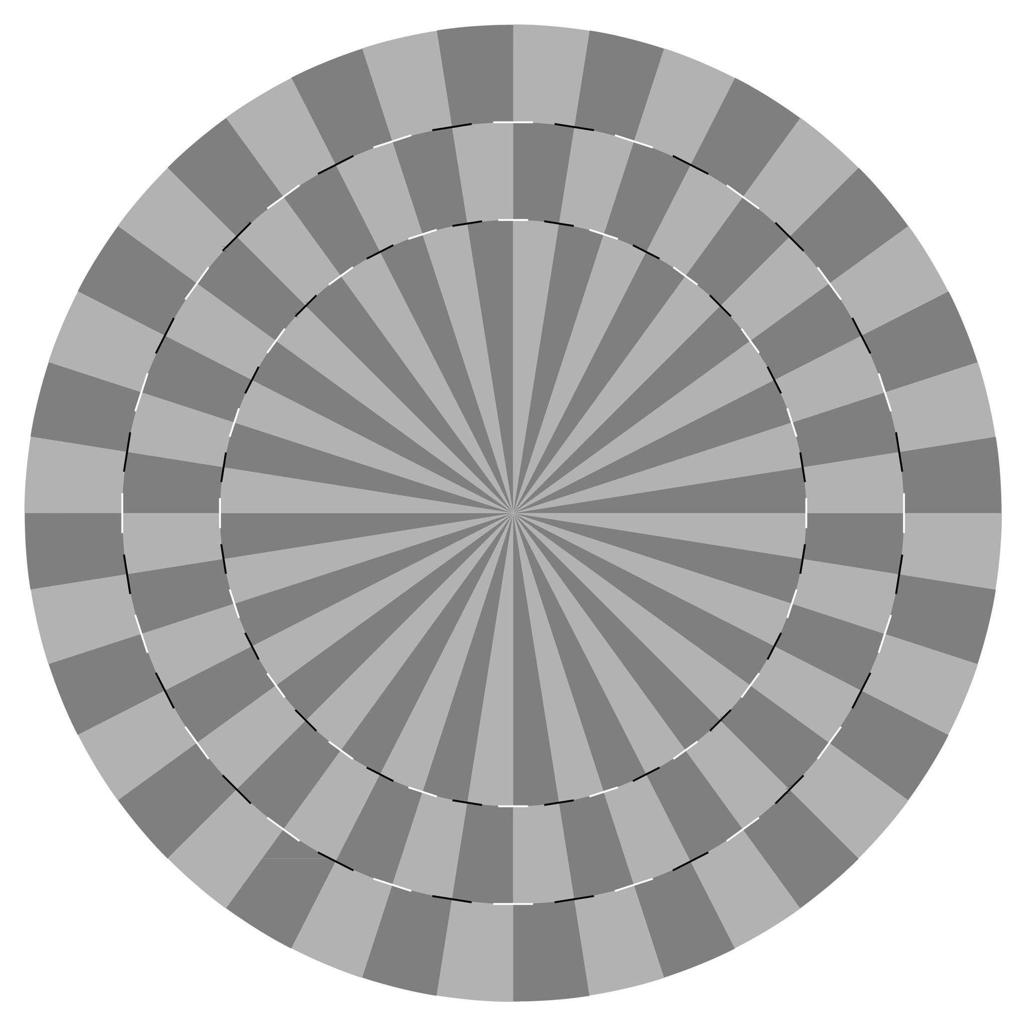 Optical illusion: Three concentric circles that look anything but!