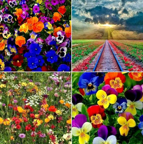 The beauty and amazing colors of nature