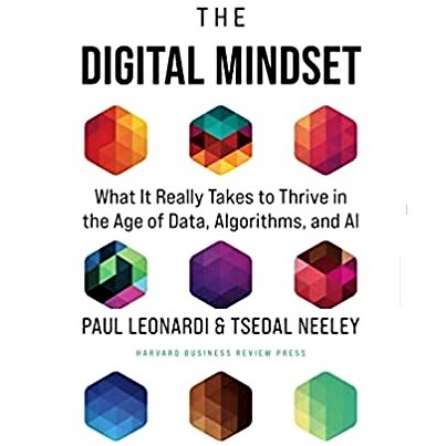Cover image for 'The Digital Mindset'