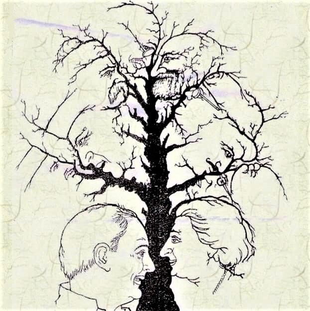 Visual challenge: How many faces can you spot in this tree?