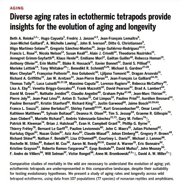 An article with 115 authors in the journal 'Science'