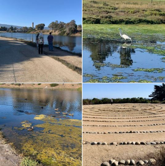 Tuesday afternoon walk, a UCSB-sponsored group activity to explore Campus Point Beach and the campus lagoon, including lagoon island with its huge labyrinth