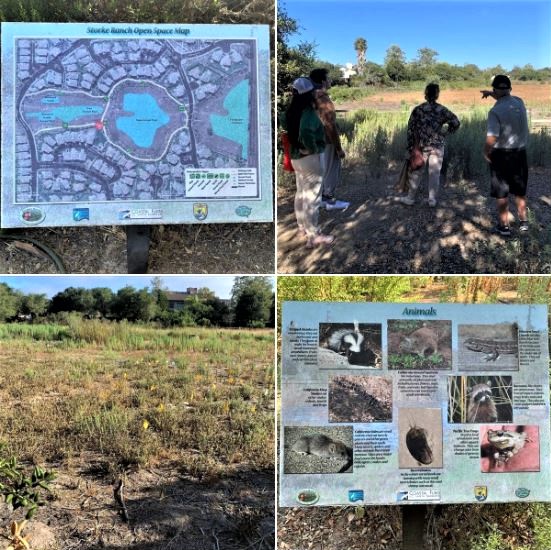 Tuesday's guided walk/tour of Goleta's Storke Ranch: Batch 1 of photos