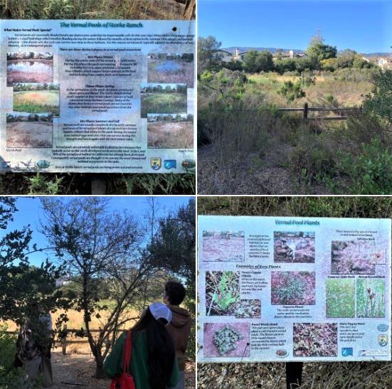 Tuesday's guided walk/tour of Goleta's Storke Ranch: Batch 2 of photos