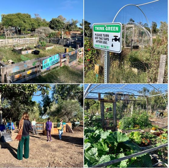 Today's UCSB-sponsored guided walk to Student Farm and Student Gardens: Batch 3 of photos