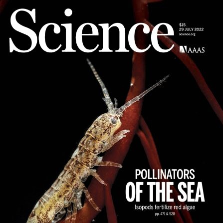 Science journal cover feature: Did you know that there are pollinators under the sea?