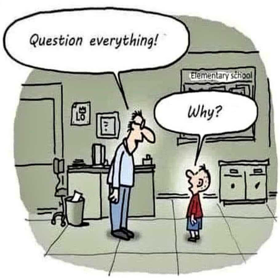 Cartoon: Smart student follows the teacher's advice to question everything!