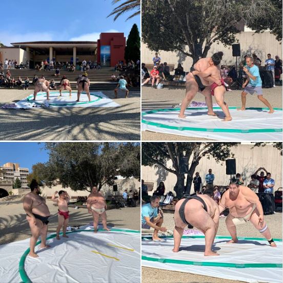 Today's sumo wrestling demo, today at UCSB