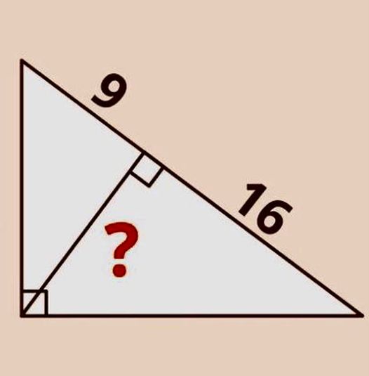 Math puzzle: What is the height of this right-angled triangle?