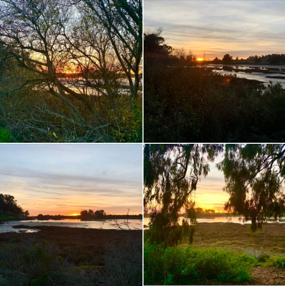 Sunset over Goleta's Devereux Slough, photographed near the end of my walk this afternoon