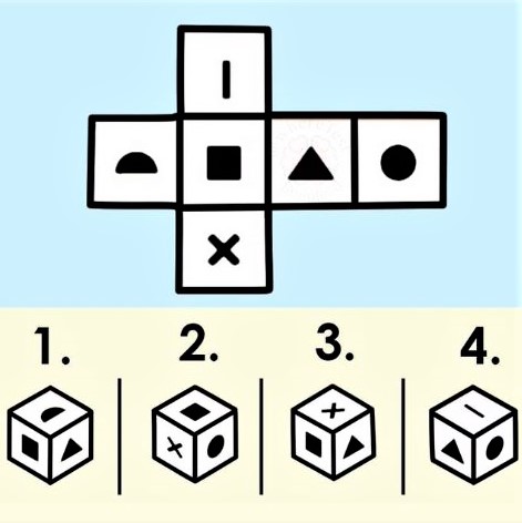Visual puzzle: Which of the four cubes can result from folding the top pattern?