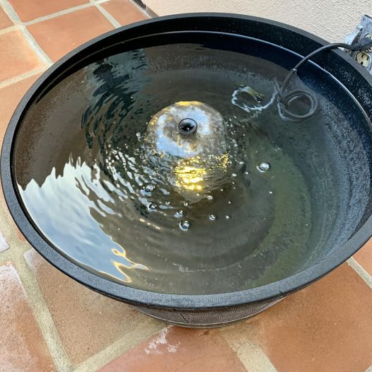 Like Cachuma Lake, the little fountain in my courtyard also runneth over from the recent severe California rainstorms!