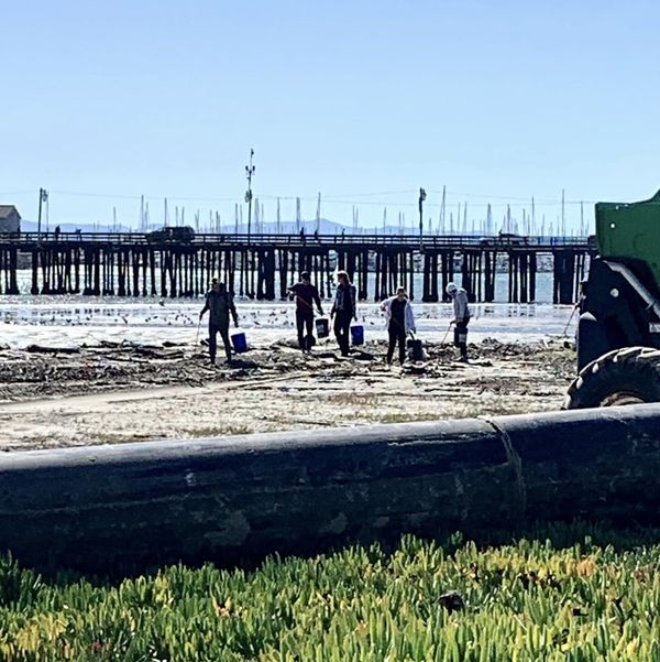 City crews and volunteers are busy clearing the debris at Santa Barbara beaches. The extended rainstorms did much damage to the area beaches