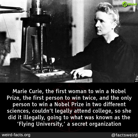 This is why we have to champion the cause of women in STEM (Marie Curie wasn't allowed to attend college
