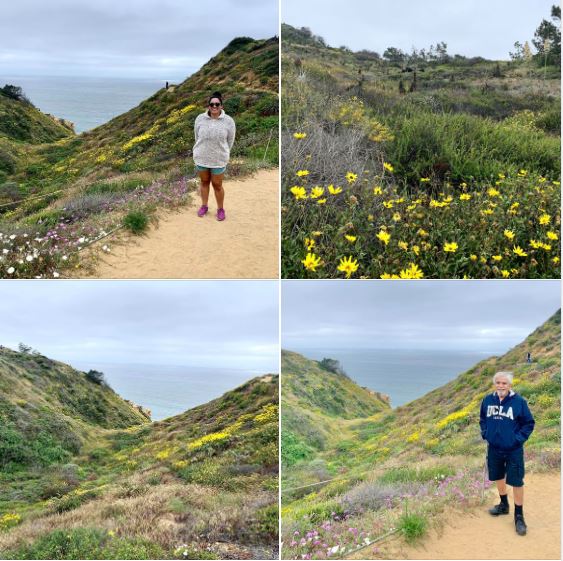 Hiking this afternoon at San Diego's Torrey Pines State Nature Reserve: Batch 1 of photos