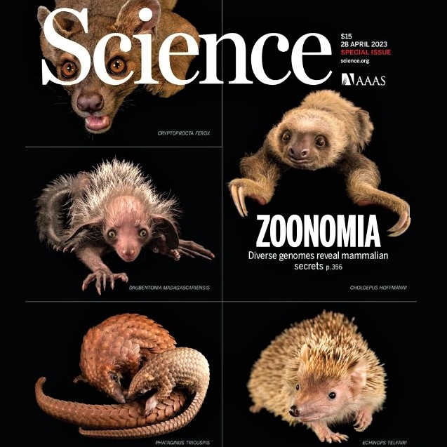 Cover image of Science magazine, issue of April 28, 2023