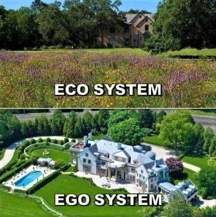 Eco system vs. Ego system!