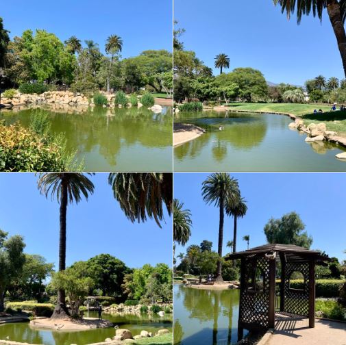 Alice Keck Memorial Gardens in Santa Barbara: Batch 1 of photos