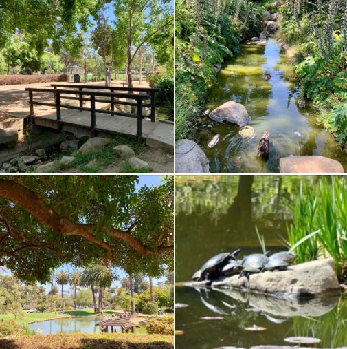 Alice Keck Memorial Gardens in Santa Barbara: Batch 2 of photos