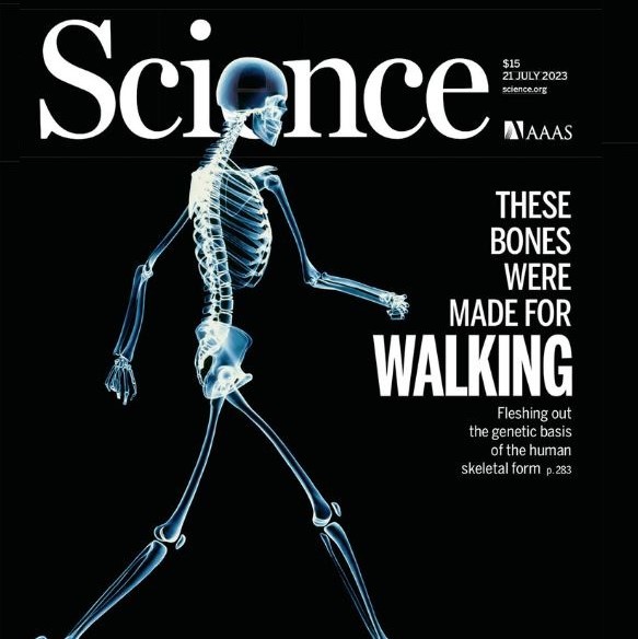 Science magazine cover feature: Cover image