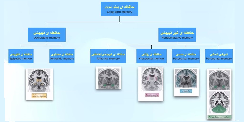 Talangor Group talk by Dr. Nader Noori on memory and its workings: One of the slides