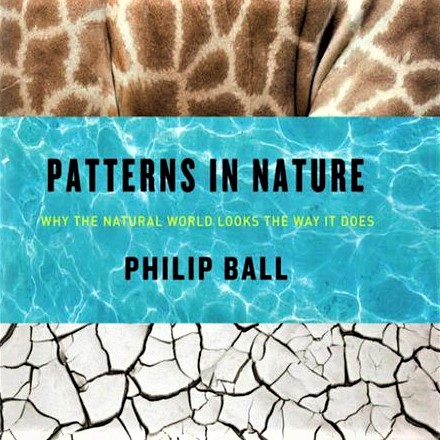 Cover image of Philip Ball's 'Patterns in Nature'