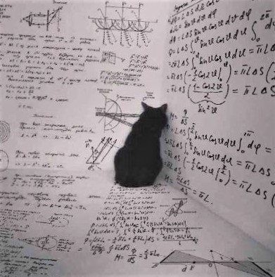 Physics joke: Inside the box, Schrodinger's cat plans its revenge