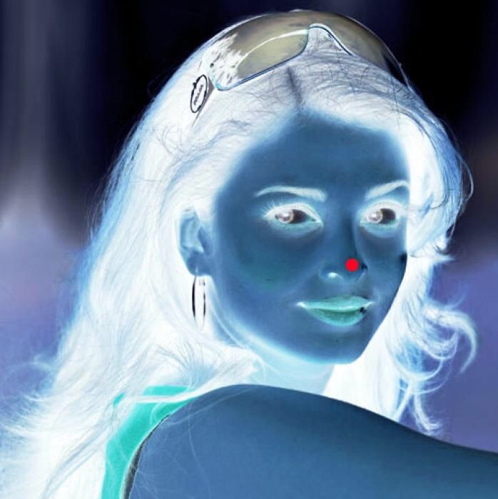Afterimage: Stare at the red dot at tip of the nose of this negative image for 30 seconds and then look at a white surface