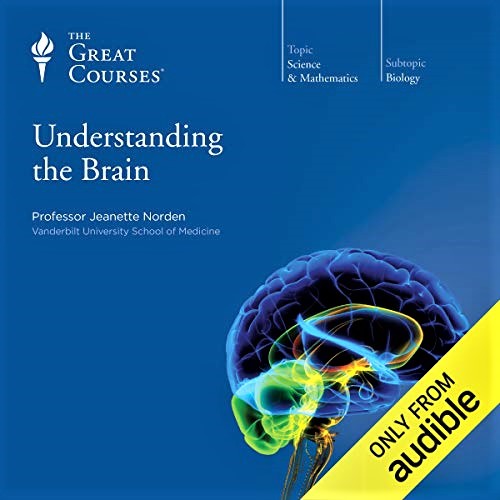 Cover image of 'Understanding the Brain'