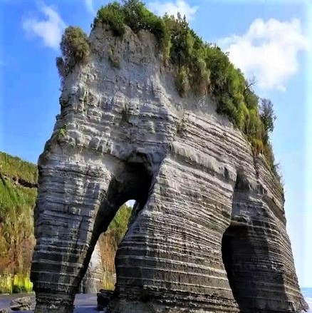 Elephant Rock, Tongaporutu Beach, New Zealand