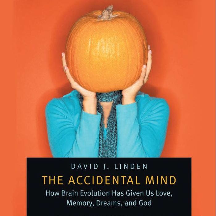 Cover image of David Linden's 'The Accidental Mind'