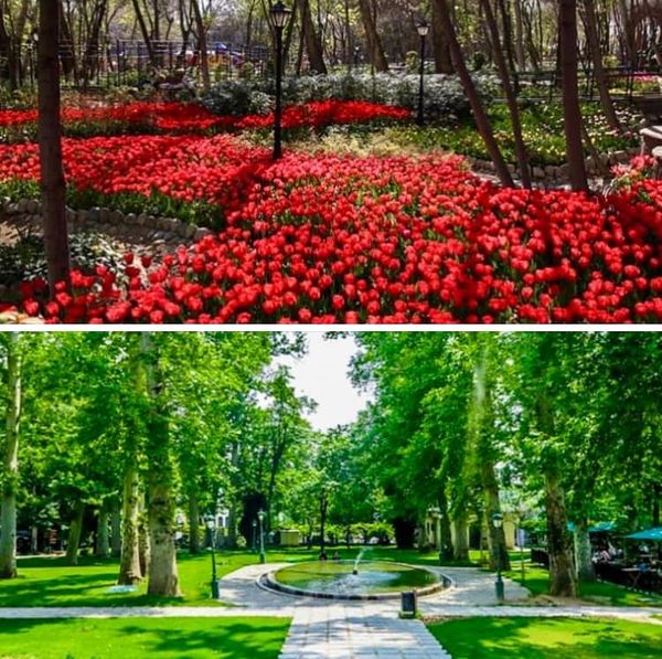 Iranian Garden in Vanak Villge, Tehran: Photos