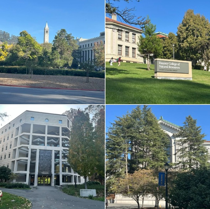 This afternoon’s walk on the UC Berkeley campus: Batch 4 of photos