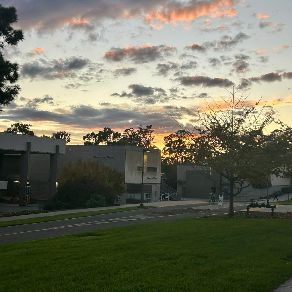 A few days ago, on my way from campus to home