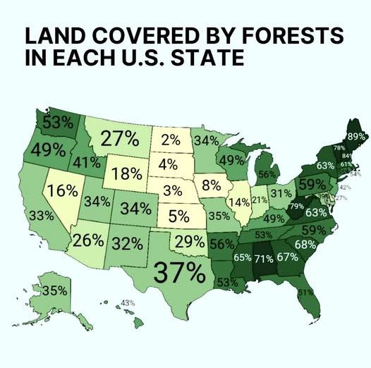 US forests distribution