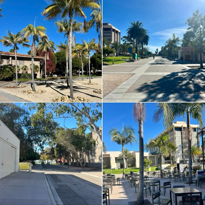 UCSB’s campus is nearly empty on this afternoon before Thanksgiving Day