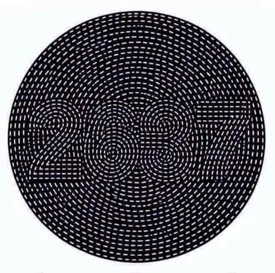 Visual challenge: What do you see in this circular image?